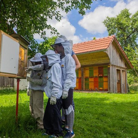 Appartement Beekeeping Kojek à Ribnica Extérieur photo