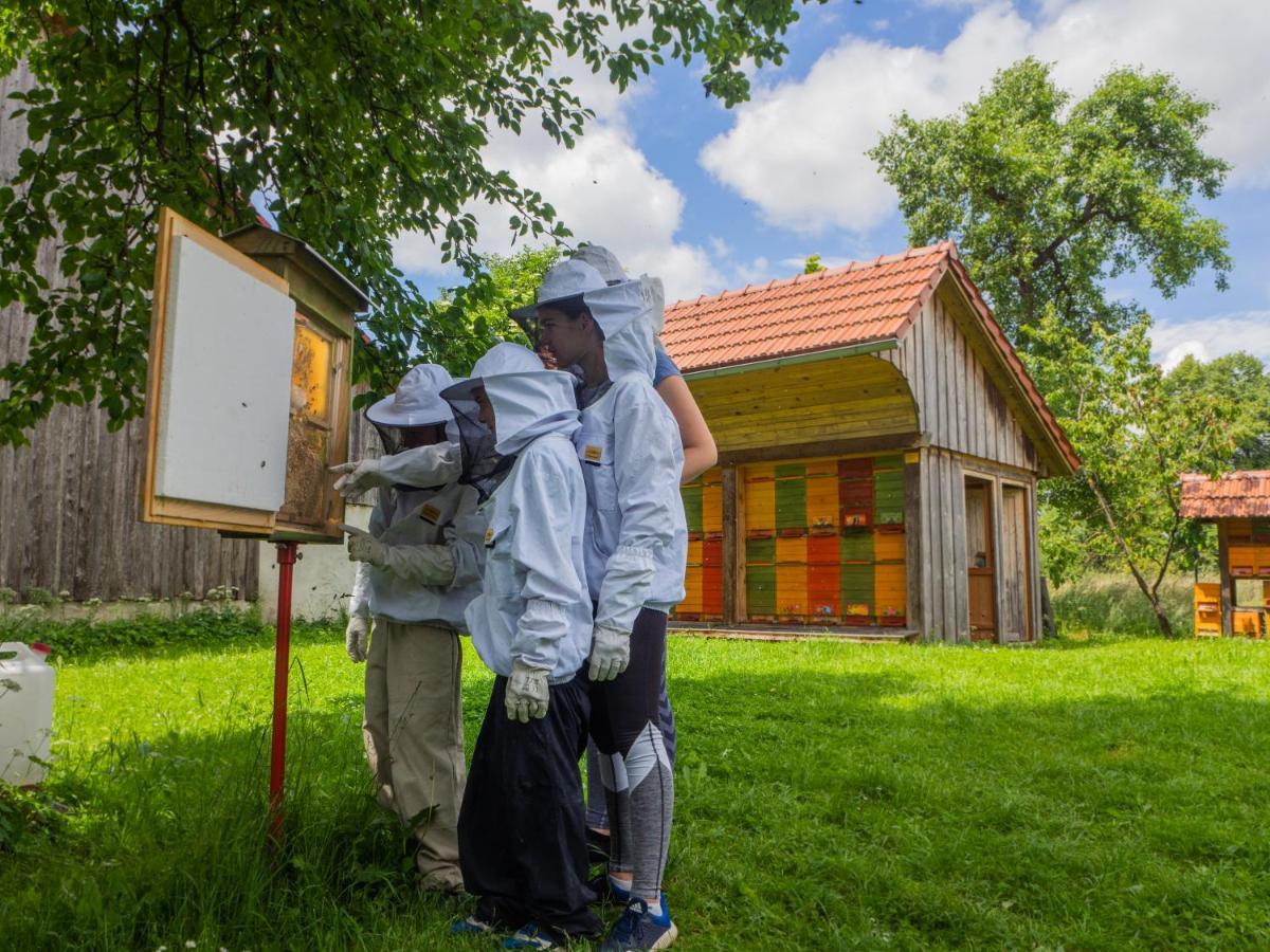 Appartement Beekeeping Kojek à Ribnica Extérieur photo