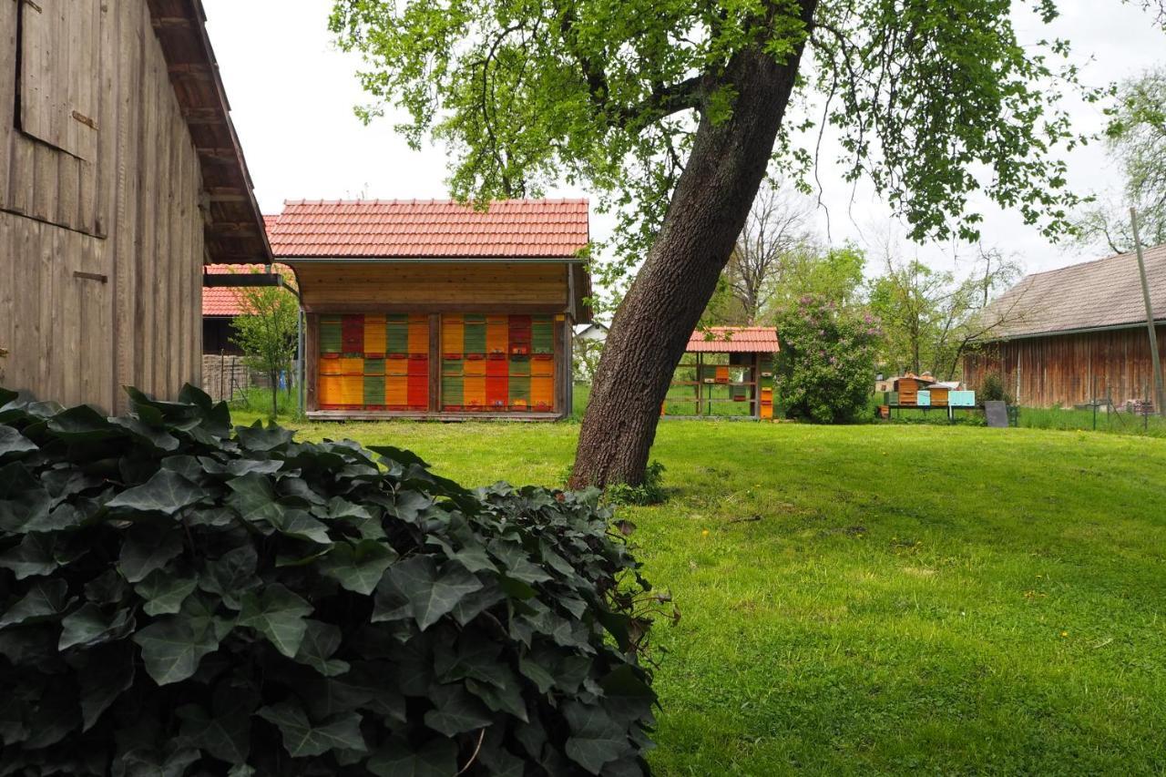 Appartement Beekeeping Kojek à Ribnica Extérieur photo